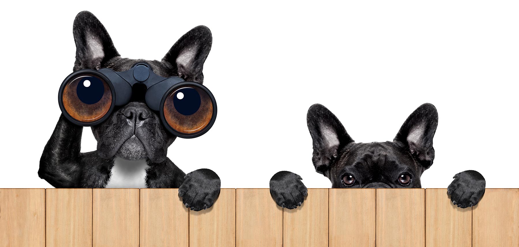 We've put our best on it, but still can't find what you're looking for.